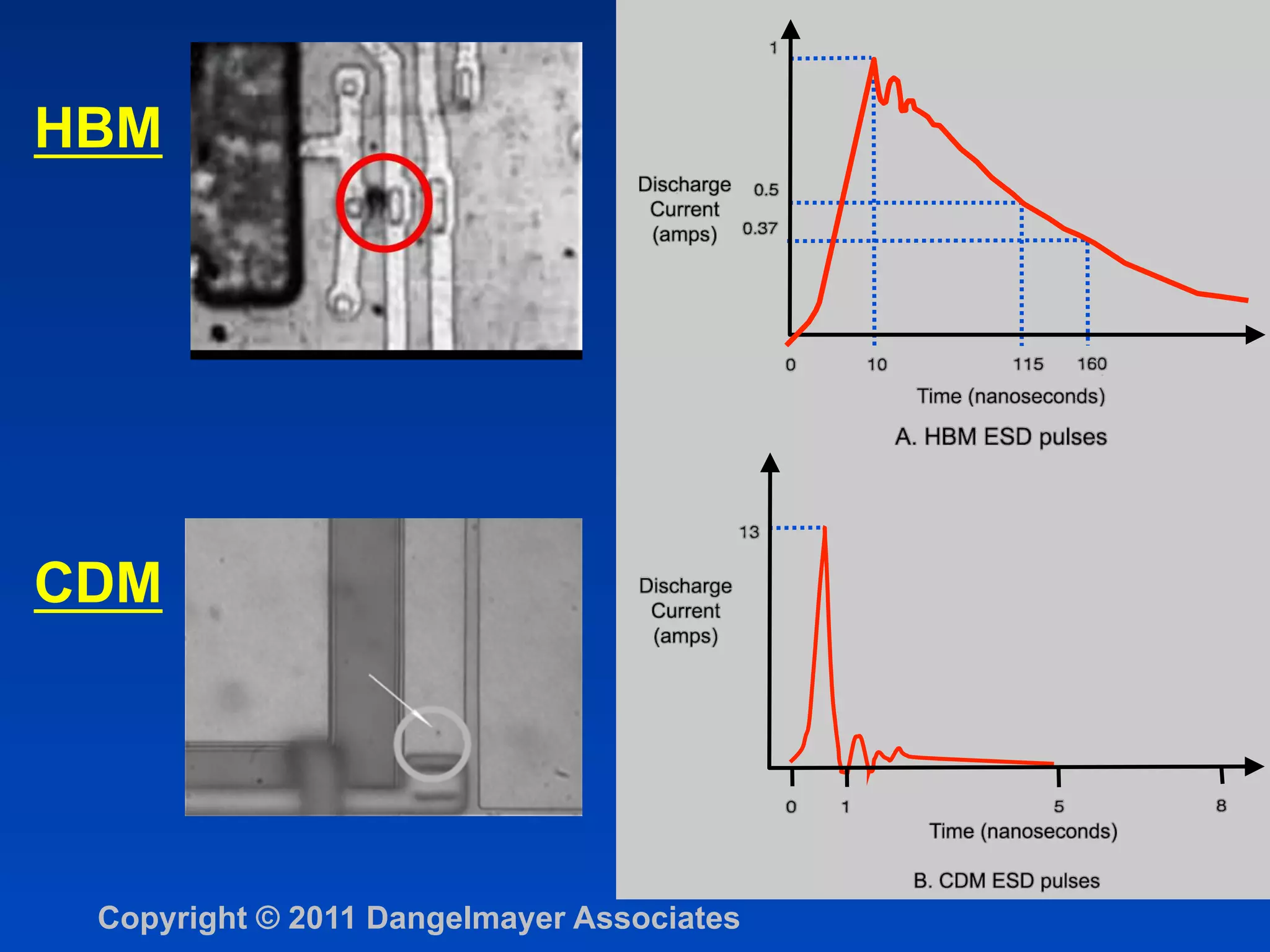 HBM




CDM




 Copyright © 2011 Dangelmayer Associates
 