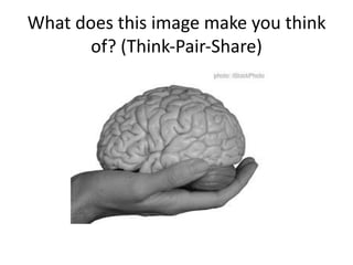 What does this image make you think
       of? (Think-Pair-Share)
 