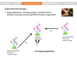 Introduction Aims Materials & Methods Results & Discussion Conclusions
Central population
from same
mountain range
Marginal
population
Marginal population
from same
mountain range
X 6 marginal populations
F1
F2
F3
Experimental design:
• Seeds obtained in common garden conditions from
artificial crossings simulating different types of geneflow
 