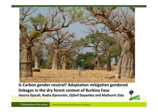 Is Carbon gender neutral? Adaptation mitigation gendered
linkages in the dry forest context of Burkina Faso
Houria Djoudi, Nadia Djenontin, Djibril Dayamba and Mathurin Zida
 