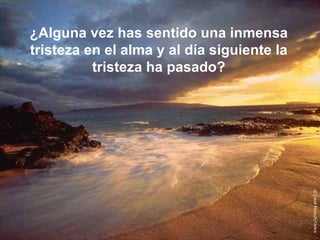 ¿Alguna vez has sentido una inmensa tristeza en el alma y al día siguiente la tristeza ha pasado? 