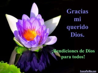 Gracias
        mi
      querido
       Dios.

¡Bendiciones de Dios
    para todos!

             AvanzaPorMas.com
 