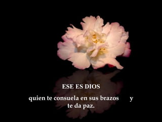 ESE ES DIOS
quien te consuela en sus brazos   y
             te da paz.
 