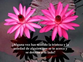 ¿Alguna vez has sentido la tristeza y la
 soledad de alguien que se te acerca y
         se detiene a tu lado?
 