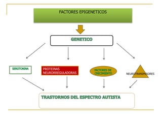 PROTEINAS
NEURORREGULADORAS NEUROTRANSMISORES
FACTORES EPIGENETICOS
 