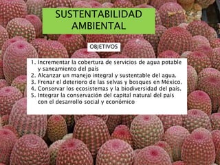 SUSTENTABILIDAD
AMBIENTAL
1. Incrementar la cobertura de servicios de agua potable
y saneamiento del país
2. Alcanzar un manejo integral y sustentable del agua.
3. Frenar el deterioro de las selvas y bosques en México.
4. Conservar los ecosistemas y la biodiversidad del país.
5. Integrar la conservación del capital natural del país
con el desarrollo social y económico
OBJETIVOS
 