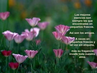 Las mejores esencias son siempre las que encontradas en pequeños frascos.  Así son los amigos.  A veces en pequeños frascos y tal vez sin etiqueta,  más su fragancia invade toda nuestra  alma. 