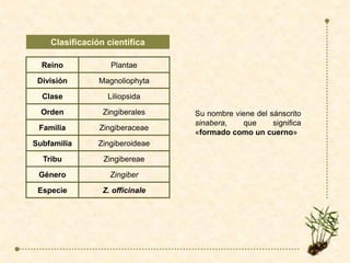 Esencias y resinas | PDF