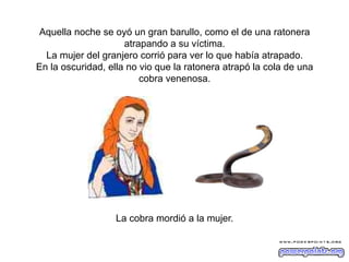 Aquella noche se oyó un gran barullo, como el de una ratonera
atrapando a su víctima.
La mujer del granjero corrió para ver lo que había atrapado.
En la oscuridad, ella no vio que la ratonera atrapó la cola de una
cobra venenosa.

La cobra mordió a la mujer.

 
