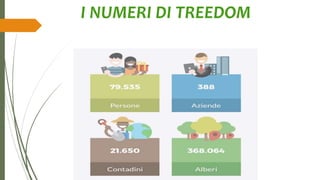 I NUMERI DI TREEDOM
 