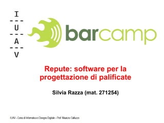 Repute: software per la progettazione di palificate Silvia Razza (mat. 271254) 