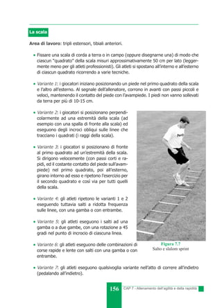 Speed ladder acquistare | scala di coordinazione