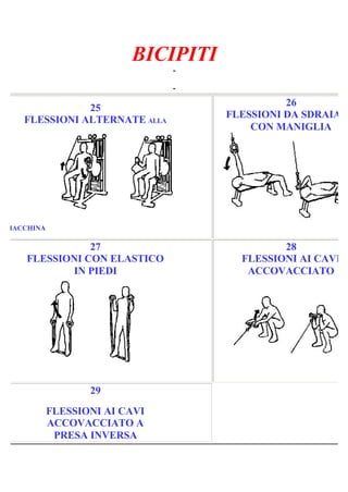 BICIPITI
-
Pagina 5/5
-
25
FLESSIONI ALTERNATE ALLA
MACCHINA
26
FLESSIONI DA SDRAIATO
CON MANIGLIA
27
FLESSIONI CON ELASTICO
IN PIEDI
28
FLESSIONI AI CAVI
ACCOVACCIATO
29
FLESSIONI AI CAVI
ACCOVACCIATO A
PRESA INVERSA
 