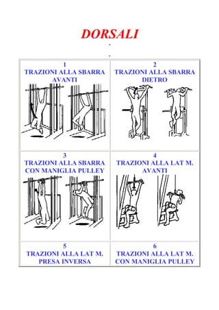DORSALI
-
Pagina 1/6
-
1
TRAZIONI ALLA SBARRA
AVANTI
2
TRAZIONI ALLA SBARRA
DIETRO
3
TRAZIONI ALLA SBARRA
CON MANIGLIA PULLEY
4
TRAZIONI ALLA LAT M.
AVANTI
5
TRAZIONI ALLA LAT M.
PRESA INVERSA
6
TRAZIONI ALLA LAT M.
CON MANIGLIA PULLEY
 