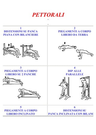 PETTORALI
-
Pagina 1/7
-
1
DISTENSIONI SU PANCA
PIANA CON BILANCIERE
2
PIEGAMENTI A CORPO
LIBERO DA TERRA
3
PIEGAMENTI A CORPO
LIBERO SU 2 PANCHE
4
DIP ALLE
PARALLELE
5
PIEGAMENTI A CORPO
LIBERO INCLINATO
6
DISTENSIONI SU
PANCA INCLINATA CON BILANCIE
 