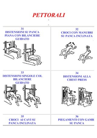 PETTORALI
-
Pagina 6/7
-
31
DISTENSIONI SU PANCA
PIANA CON BILANCIERE
GUIDATO
32
CROCI CON MANUBRI
SU PANCA INCLINATA
33
DISTENSIONI SINGOLE COL
BILANCIERE
GUIDATO
34
DISTENSIONI ALLA
CHEST PRESS
35
CROCI AI CAVI SU
PANCA INCLINATA
36
PIEGAMENTI CON GAMBE
SU PANCA
 