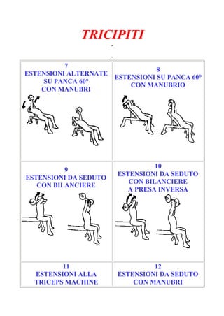 TRICIPITI
-
Pagina 2/6
-
7
ESTENSIONI ALTERNATE
SU PANCA 60°
CON MANUBRI
8
ESTENSIONI SU PANCA 60°
CON MANUBRIO
9
ESTENSIONI DA SEDUTO
CON BILANCIERE
10
ESTENSIONI DA SEDUTO
CON BILANCIERE
A PRESA INVERSA
11
ESTENSIONI ALLA
TRICEPS MACHINE
12
ESTENSIONI DA SEDUTO
CON MANUBRI
 