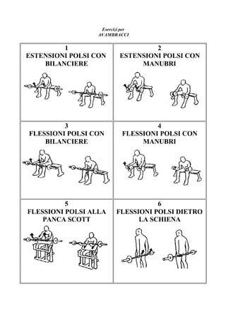 Esercizi per
AVAMBRACCI
1
ESTENSIONI POLSI CON
BILANCIERE
2
ESTENSIONI POLSI CON
MANUBRI
3
FLESSIONI POLSI CON
BILANCIERE
4
FLESSIONI POLSI CON
MANUBRI
5
FLESSIONI POLSI ALLA
PANCA SCOTT
6
FLESSIONI POLSI DIETRO
LA SCHIENA
 