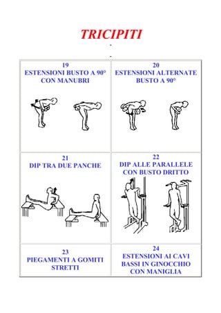 TRICIPITI
-
Pagina 4/6
-
19
ESTENSIONI BUSTO A 90°
CON MANUBRI
20
ESTENSIONI ALTERNATE
BUSTO A 90°
21
DIP TRA DUE PANCHE
22
DIP ALLE PARALLELE
CON BUSTO DRITTO
23
PIEGAMENTI A GOMITI
STRETTI
24
ESTENSIONI AI CAVI
BASSI IN GINOCCHIO
CON MANIGLIA
 