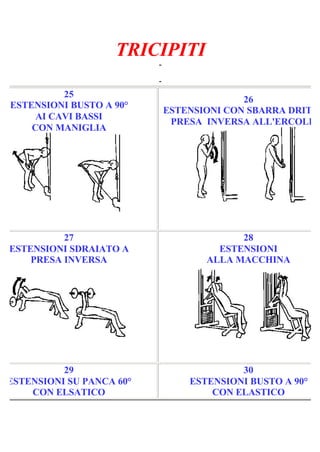 TRICIPITI
-
Pagina 5/6
-
25
ESTENSIONI BUSTO A 90°
AI CAVI BASSI
CON MANIGLIA
26
ESTENSIONI CON SBARRA DRITTA
PRESA INVERSA ALL'ERCOLINA
27
ESTENSIONI SDRAIATO A
PRESA INVERSA
28
ESTENSIONI
ALLA MACCHINA
29
ESTENSIONI SU PANCA 60°
CON ELSATICO
30
ESTENSIONI BUSTO A 90°
CON ELASTICO
 