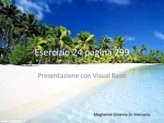Esercizio 24 pagina 299 Presentazione con Visual Basic Magherini Ginevra 3c mercurio 