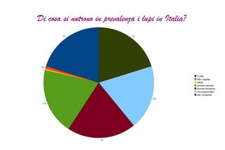 Il Lupo Italiano Il lupo italiano nasce nel 1966, dalla fusione di una lupa degli Appennini Laziali e di un pastore tedesco.  
