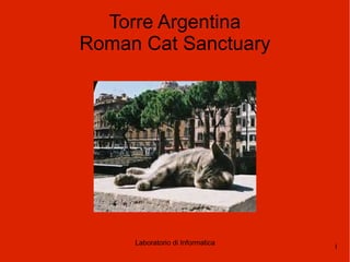 Torre Argentina Roman Cat Sanctuary 1 