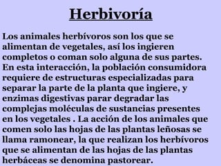 Herbivoría Los animales herbívoros son los que se alimentan de vegetales, así los ingieren completos o coman solo alguna de sus partes. En esta interacción, la población consumidora requiere de estructuras especializadas para separar la parte de la planta que ingiere, y enzimas digestivas parar degradar las complejas moléculas de sustancias presentes en los vegetales . La acción de los animales que comen solo las hojas de las plantas leñosas se llama ramonear, la que realizan los herbívoros que se alimentan de las hojas de las plantas herbáceas se denomina pastorear. 