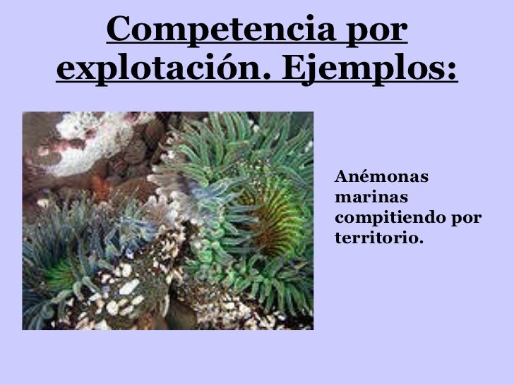 Image result for ejemplo de explotacion dibujo