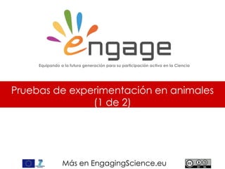 Más en EngagingScience.eu
Pruebas de experimentación en animales
(1 de 2)
Equipando a la futura generación para su participación activa en la Ciencia
 