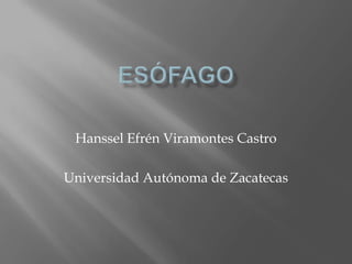 Esófago Hanssel Efrén Viramontes Castro Universidad Autónoma de Zacatecas 