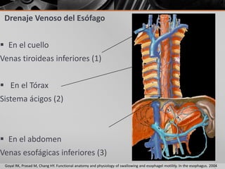 Drenaje Venoso del Esófago


 En el cuello
Venas tiroideas inferiores (1)


 En el Tórax
Sistema ácigos (2)



 En el abdomen
Venas esofágicas inferiores (3)
 Goyal RK, Prasad M, Chang HY. Functional anatomy and physiology of swallowing and esophagel motility. In the esophagus. 2004
 