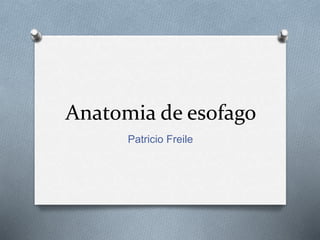 Anatomia de esofago
Patricio Freile
 