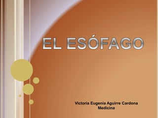Victoria Eugenia Aguirre Cardona
Medicina
 