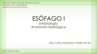 ESÓFAGO I
Embriología
Anatomía radiológica
DRA. LARA MÁRQUEZ YADIRA R2 RX
INSTITUTO MEXICANO DEL SEGURO SOCIAL
TIJUANA, BAJA CALIFORNIA
UNIDAD DE IMAGENOLOGÍA
3 DE JUNIO DE 2013
 