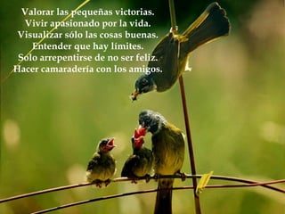 Valorar las pequeñas victorias.
  Vivir apasionado por la vida.
 Visualizar sólo las cosas buenas.
    Entender que hay límites.
 Solo arrepentirse de no ser feliz.
Hacer camaradería con los amigos.
 