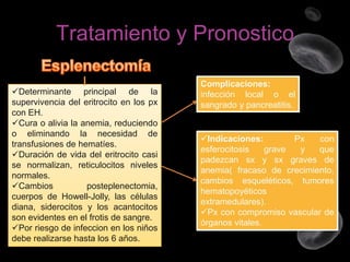Tratamiento y Pronostico
Determinante principal de la
supervivencia del eritrocito en los px
con EH.
Cura o alivia la anemia, reduciendo
o eliminando la necesidad de
transfusiones de hematíes.
Duración de vida del eritrocito casi
se normalizan, reticulocitos niveles
normales.
Cambios
posteplenectomia,
cuerpos de Howell-Jolly, las células
diana, siderocitos y los acantocitos
son evidentes en el frotis de sangre.
Por riesgo de infeccion en los niños
debe realizarse hasta los 6 años.

Complicaciones:
infección local o el
sangrado y pancreatitis.

Indicaciones:
Px
con
esferocitosis
grave
y
que
padezcan sx y sx graves de
anemia( fracaso de crecimiento,
cambios esqueléticos, tumores
hematopoyéticos
extramedulares).
Px con compromiso vascular de
órganos vitales.

 