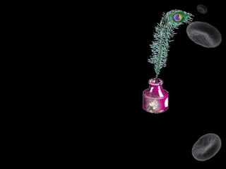 Esferocitosis hereditaria