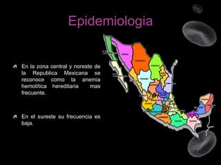 Epidemiologia

En la zona central y noreste de
la Republica Mexicana se
reconoce como la anemia
hemolítica hereditaria
mas
frecuente.

En el sureste su frecuencia es
baja.

 