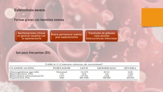 Manifestaciones clínicas
en general resueltas con
la esplenectomía
Podria permanecer anémia
post-esplenectomía
Transfusión de glóbulos
rojos durante
intercurrencias infecciosas
Esferocitosis severa:
Formas graves con hemólisis intensa
Son poco frecuentes (5%)
 