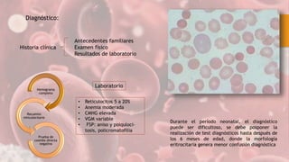 Durante el período neonatal, el diagnóstico
puede ser dificultoso, se debe posponer la
realización de test diagnósticos hasta después de
los 6 meses de edad, donde la morfología
eritrocitaria genera menor confusión diagnóstica
Diagnóstico:
Antecedentes familiares
Examen físico
Resultados de laboratorio
Historia clínica
• Reticulocitos 5 a 20%
• Anemia moderada
• CMHG elevada
• VGM variable
• FSP: aniso y poiquloci-
tosis, policromatofilia
Laboratorio
Hemograma
completo
Recuento
reticulocitario
Prueba de
coombs directa
negativa
 