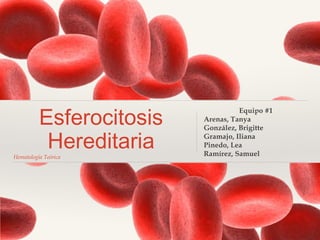 Hematología Teórica
Esferocitosis
Hereditaria
Equipo #1
Arenas, Tanya
González, Brigitte
Gramajo, Iliana
Pinedo, Lea
Ramírez, Samuel
 