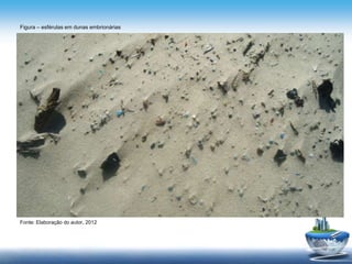 Figura – esférulas em dunas embrionárias
Fonte: Elaboração do autor, 2012
 