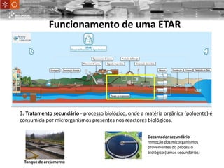 Tanque de arejamento
UniversityofMinho
School ofEngineering
Decantador secundário –
remoção dos micorganismos
provenientes do processo
biológico (lamas secundárias)
Funcionamento de uma ETAR
3. Tratamento secundário - processo biológico, onde a matéria orgânica (poluente) é
consumida por microrganismos presentes nos reactores biológicos.
 