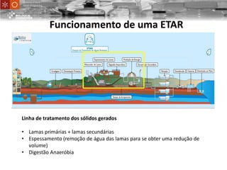 Linha de tratamento dos sólidos gerados
• Lamas primárias + lamas secundárias
• Espessamento (remoção de água das lamas para se obter uma redução de
volume)
• Digestão Anaeróbia
UniversityofMinho
School ofEngineering
Funcionamento de uma ETAR
 
