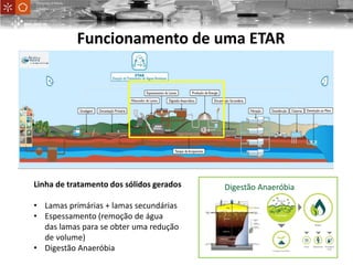 Linha de tratamento dos sólidos gerados
• Lamas primárias + lamas secundárias
• Espessamento (remoção de água
das lamas para se obter uma redução
de volume)
• Digestão Anaeróbia
UniversityofMinho
School ofEngineering
Funcionamento de uma ETAR
Digestão Anaeróbia
 