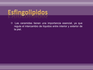  Las ceramidas tienen una importancia esencial, ya que
regula el intercambio de líquidos entre interior y exterior de
la piel.
 