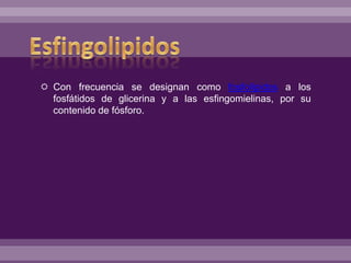  Con frecuencia se designan como fosfolípidos a los
fosfátidos de glicerina y a las esfingomielinas, por su
contenido de fósforo.
 