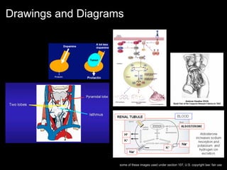 Enriching Scholarship 2009 - Creating Open Educational Resources