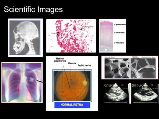 Enriching Scholarship 2009 - Creating Open Educational Resources